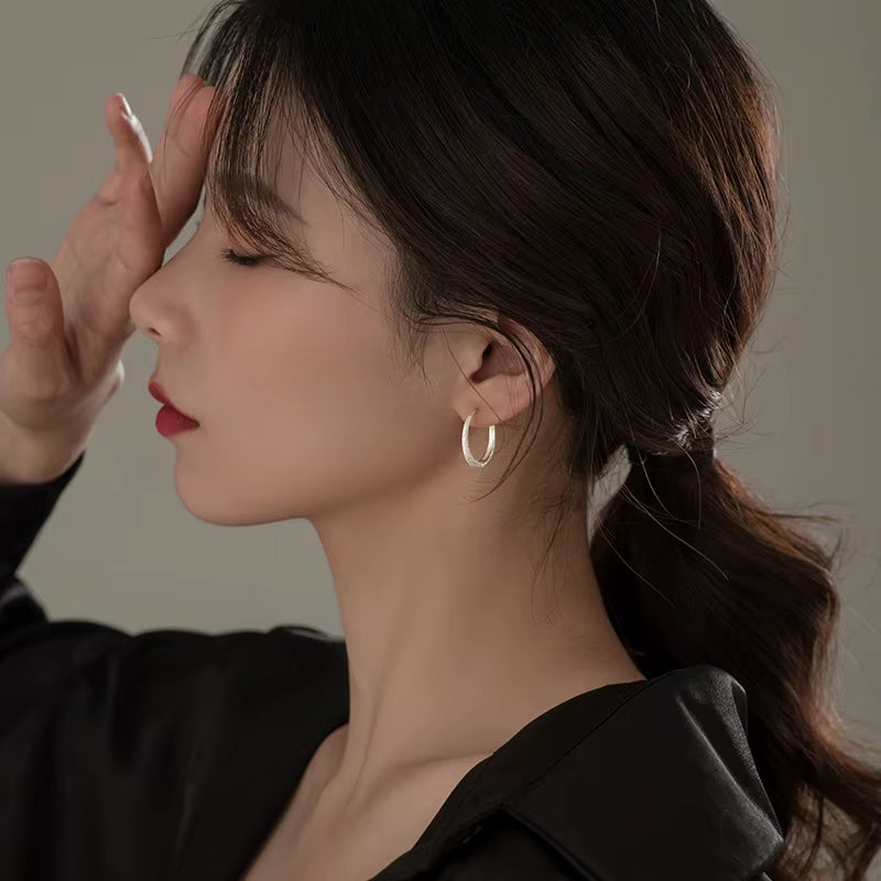 925 Sterling Silver Hot Sale Korean round Earrings Simple Temperament Exquisite Hot Semale Sexy Jewelry Gift