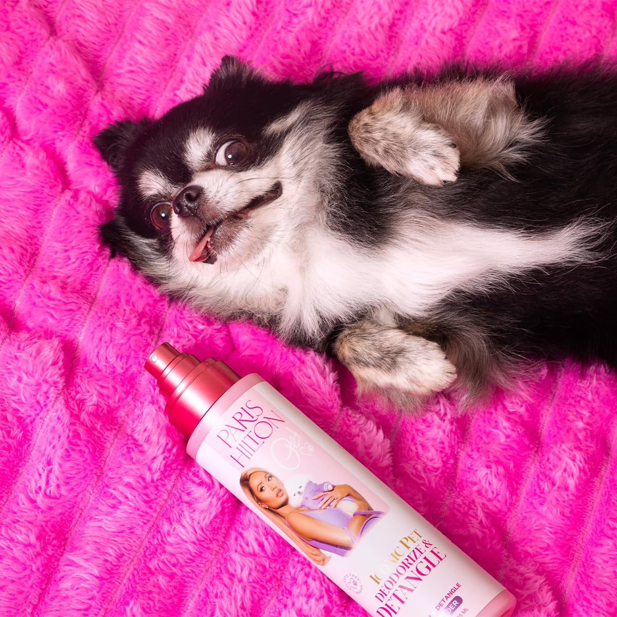 Dog Perfume, Deodorizer & Detangler | Odor Neutralizing with Gentle Calming Lavender Scent - Sulfate-Free, Vegan, H